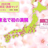 福島で桜が満開　平年より3日早く　東北でトップをきって満開に