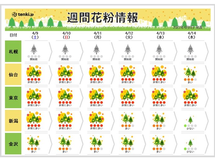 今週末は要注意　花粉大量飛散