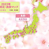 長野で桜開花　来週は桜前線が東北北部へ