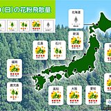 あす10日の花粉情報　九州～関東はヒノキ花粉が非常に多い