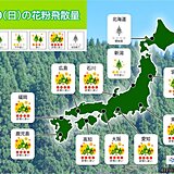 10日(日)花粉情報　九州から関東「非常に多い」　お出かけ日和も花粉対策は万全に