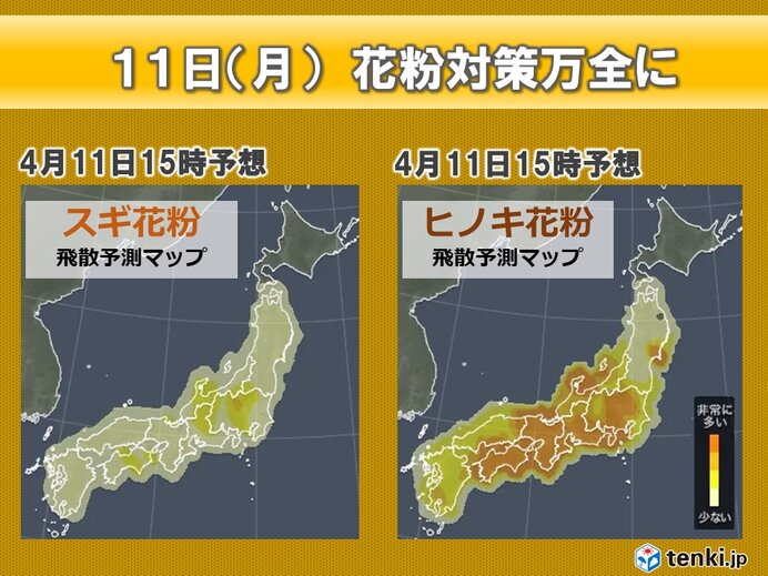 花粉情報　あす11日(月)は大量飛散　週後半は少しホッとできる所　ピークいつまで