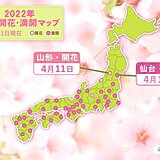 仙台で桜が満開　開花から3日で満開に　山形では桜が開花