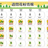 スギ・ヒノキ花粉　今シーズンの飛散は東京ではまだ予測の5割程度　終了時期はいつ?