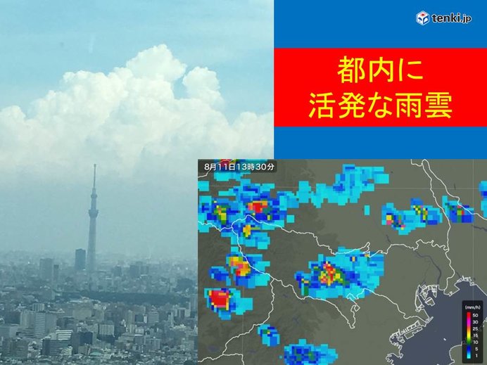 都内に活発な雨雲　夜にかけて注意