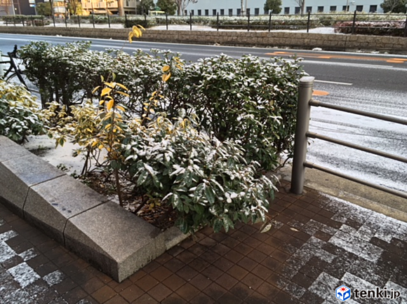 大阪市内　うっすら雪化粧