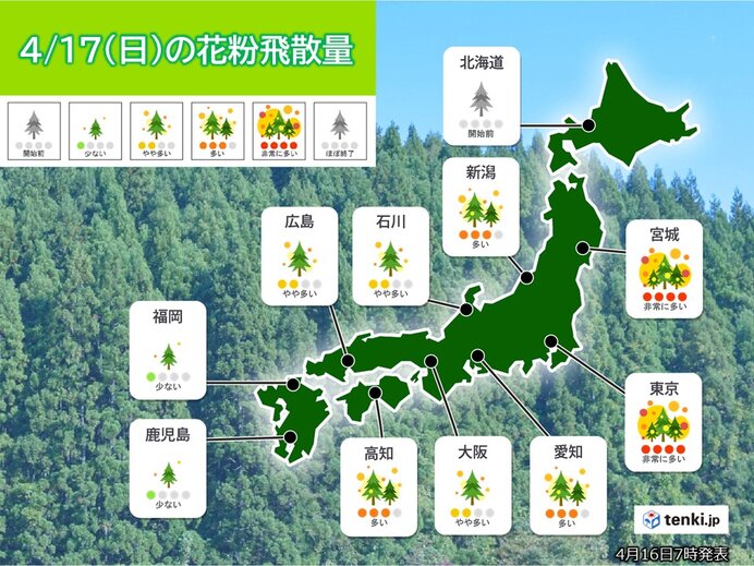 あす17日の花粉情報　関東や東北で非常に多い　花粉シーズンはいつまで?