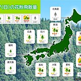 あす17日の花粉情報　関東や東北で非常に多い　花粉シーズンはいつまで?