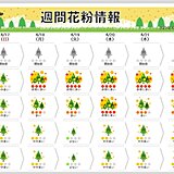 花粉シーズン終盤も　東海・関東・東北はまだ「非常に多く」飛ぶ日あり　対策いつまで