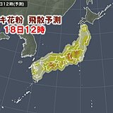 ヒノキ花粉　まだ「非常に多く」飛ぶ所も　花粉症の症状が落ち着いても油断せず