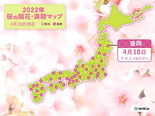 盛岡でソメイヨシノ満開　桜前線は順調に北上中　津軽海峡を渡るのはいつ?