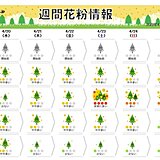 スギ・ヒノキ花粉　東京では予測の7割程度が飛散　花粉シーズン終了までもう少し