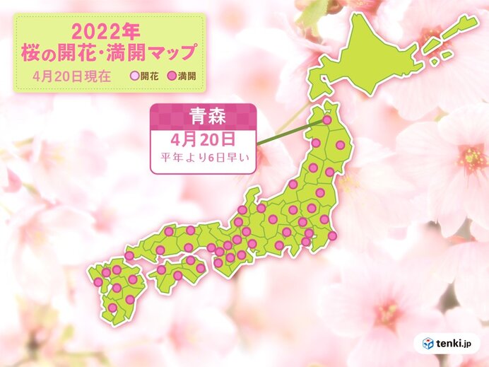 ゴールデンウイーク前に青森でサクラ満開　サクラ前線は津軽海峡を渡って北海道へ