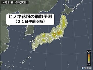 花粉の時期は終盤も油断は禁物　あす21日も一部で飛散量増える