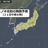 花粉の時期は終盤も油断は禁物　あす21日も一部で飛散量増える