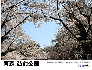 東北北部は花盛りの週末　ゴールデンウィークにかけての東北2週間天気