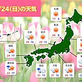 あす24日　太平洋側は雨のタイミングに注意　関東も傘の出番　北海道は花見日和