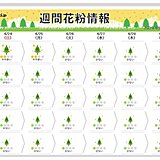 今シーズンのスギ・ヒノキ花粉　まもなくシーズン終了　東京・大阪はGWまで対策を