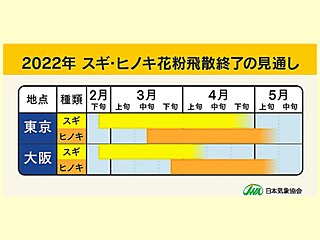 スギ・ヒノキ花粉シーズンまもなく終了　東京など飛散はゴールデンウィーク頃まで