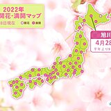 旭川で桜が満開　北海道では今週は次々と開花や満開　平年より早く桜が見頃に