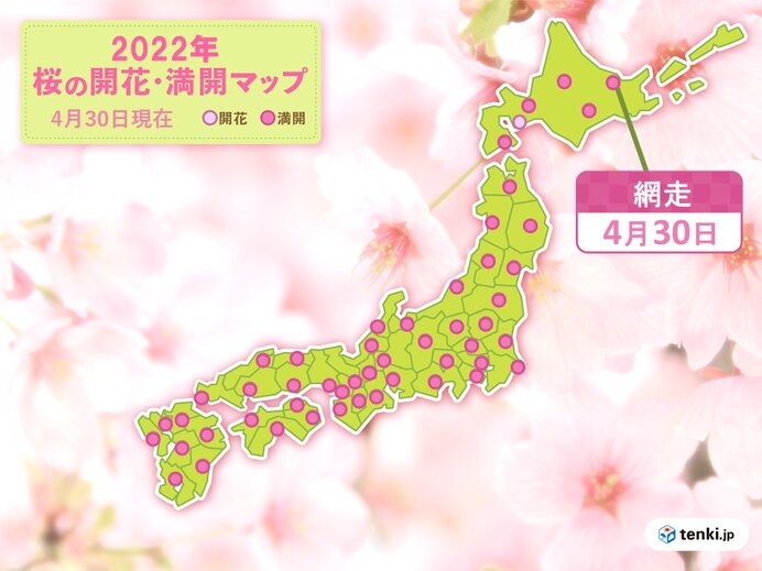 北海道は桜の季節が記録的に早い