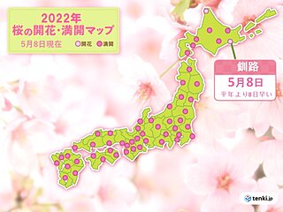 釧路で桜開花　平年より8日早い「母の日」のプレゼント