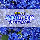 梅雨入りの発表　速報値と確定値どれくらい違う?昨年は1カ月くらい違った所も