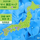 きょう6日は二十四節気の「芒種」　京都・神戸・岐阜・津で平年より早くアジサイ開花