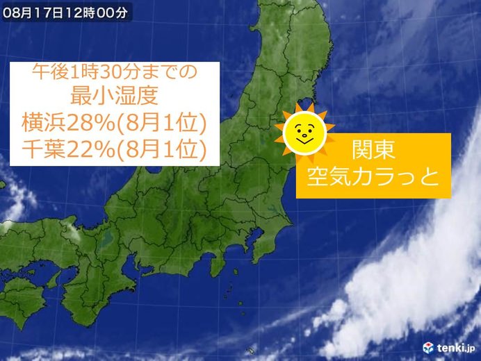 都心9年ぶり8月に湿度 台 横浜1位 気象予報士 日直主任 18年08月17日 日本気象協会 Tenki Jp
