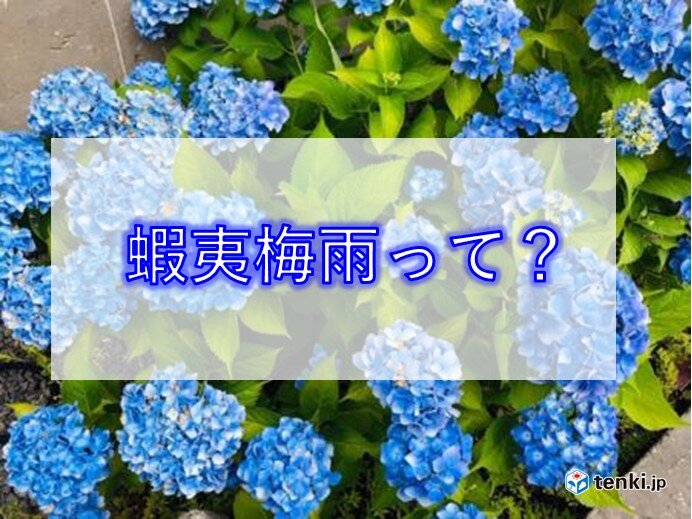 北海道でも梅雨 蝦夷梅雨の正体とは 今年はどうなる 気象予報士 今井 希依 22年06月07日 日本気象協会 Tenki Jp