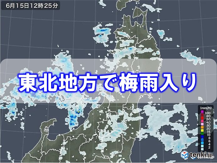 東北地方で梅雨入り　今年の梅雨はメリハリ型?