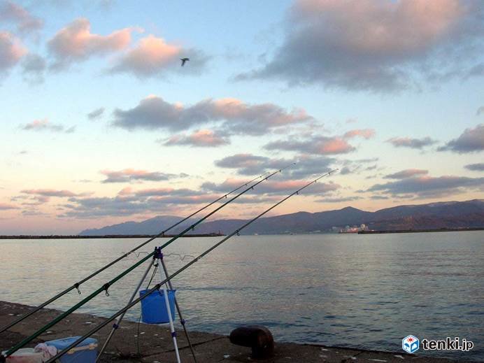 北海道　春のカレイ釣りシーズン到来_画像