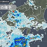 東京都心　12日ぶりに1.0ミリ以上の雨　午後は雨雲発達しやすく雷雨も