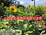 東海地方　2週間天気　しばらくは天気の急変に注意　雨具と熱中症対策を忘れずに