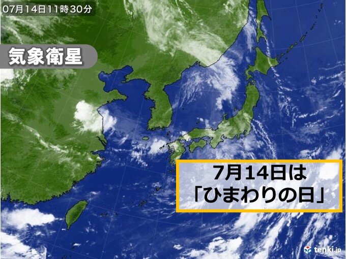 きょうは「ひまわりの日」　気象衛星でわかる発達した雲　大雨に警戒