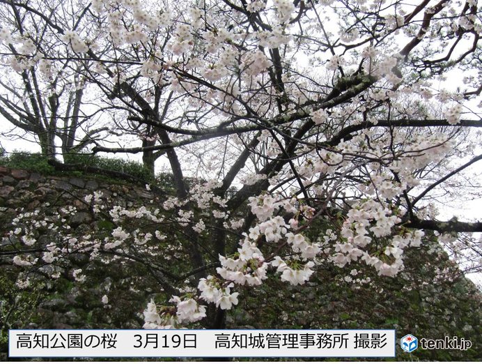 画像a