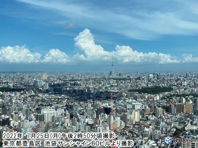 関東で積乱雲発達中