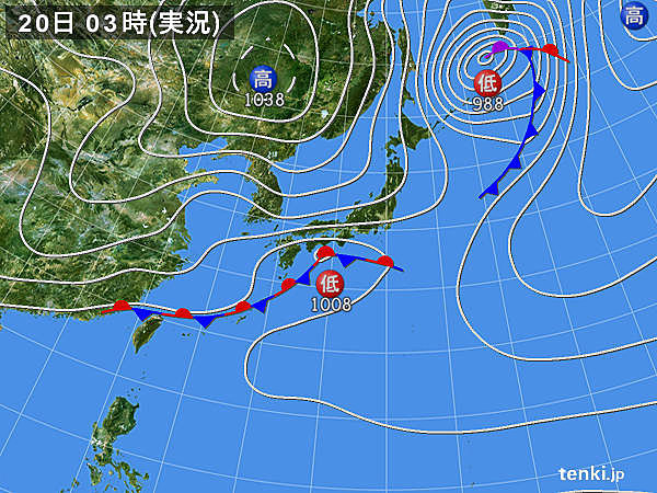 20日　冷たい雨と寒の戻り　桜も試練