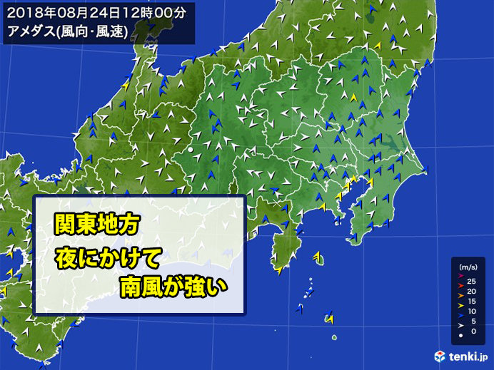 強い南風　都心や横浜で20メートル超