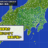 強い南風　都心や横浜で20メートル超