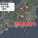 関東甲信地方　大気の状態不安定　午後は急な雨や雷雨　川の増水に注意