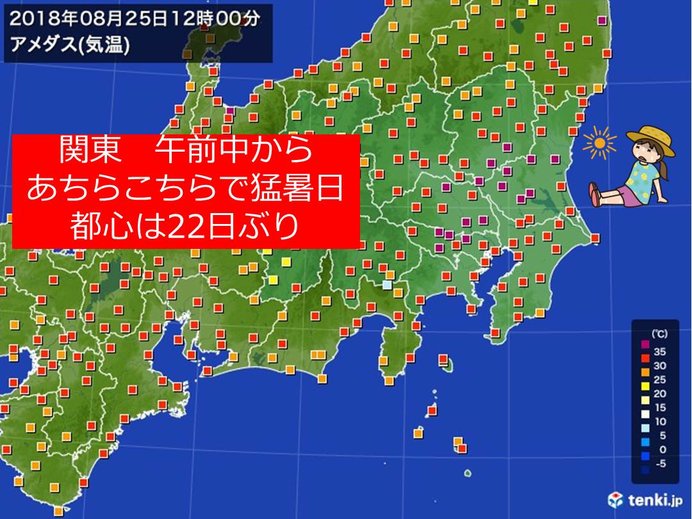 都心　正午前に35度超　22日ぶり猛暑日