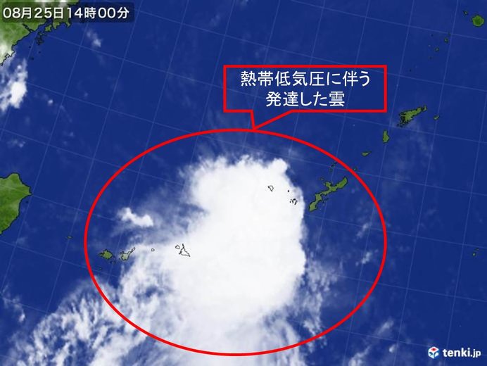 沖縄に熱帯低気圧の雲 激しい雨も 日直予報士 18年08月25日 日本気象協会 Tenki Jp