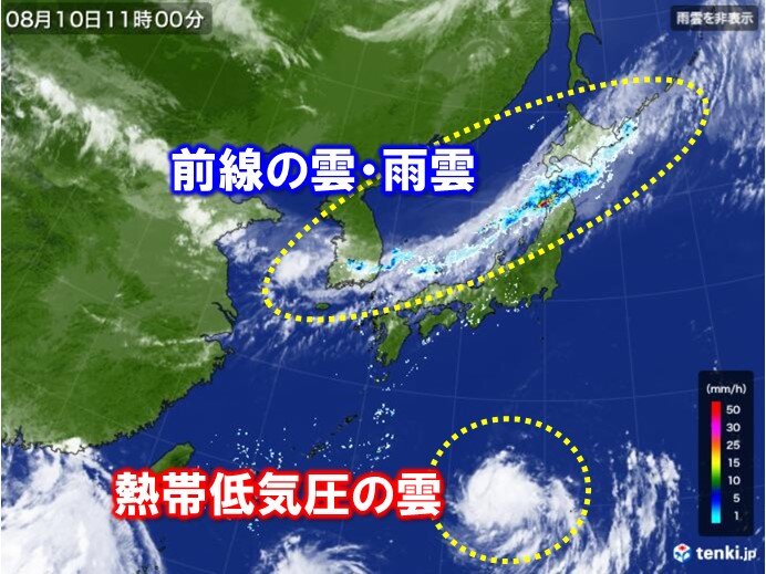 11日(木)～17日(水)　前線や新たな台風の動向に注視