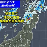 大雨続く東北北部　きょう(11日)も活発な雨雲がかかる　土砂災害に厳重警戒