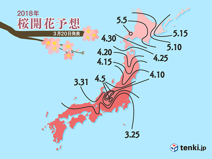桜満開はいつ?　日本気象協会発表