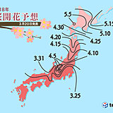 桜満開はいつ?　日本気象協会発表