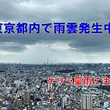 東京都内に活発な雨雲発生　夜にかけて急な激しい雨や雷雨に注意