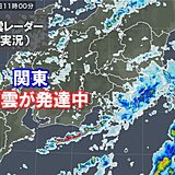 関東　雨雲が発達中　大雨警報発表の所も　 帰宅時間も所々で傘が必要　雨はいつまで