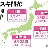 ススキの開花ラッシュ　平年より1か月以上早い所も